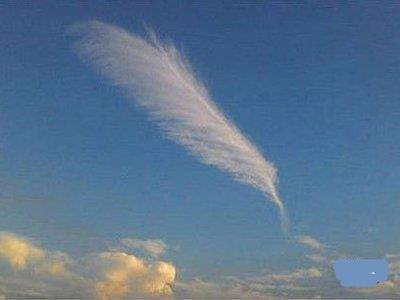 ͼ3 ��ë״ ͼƬ��Դ������