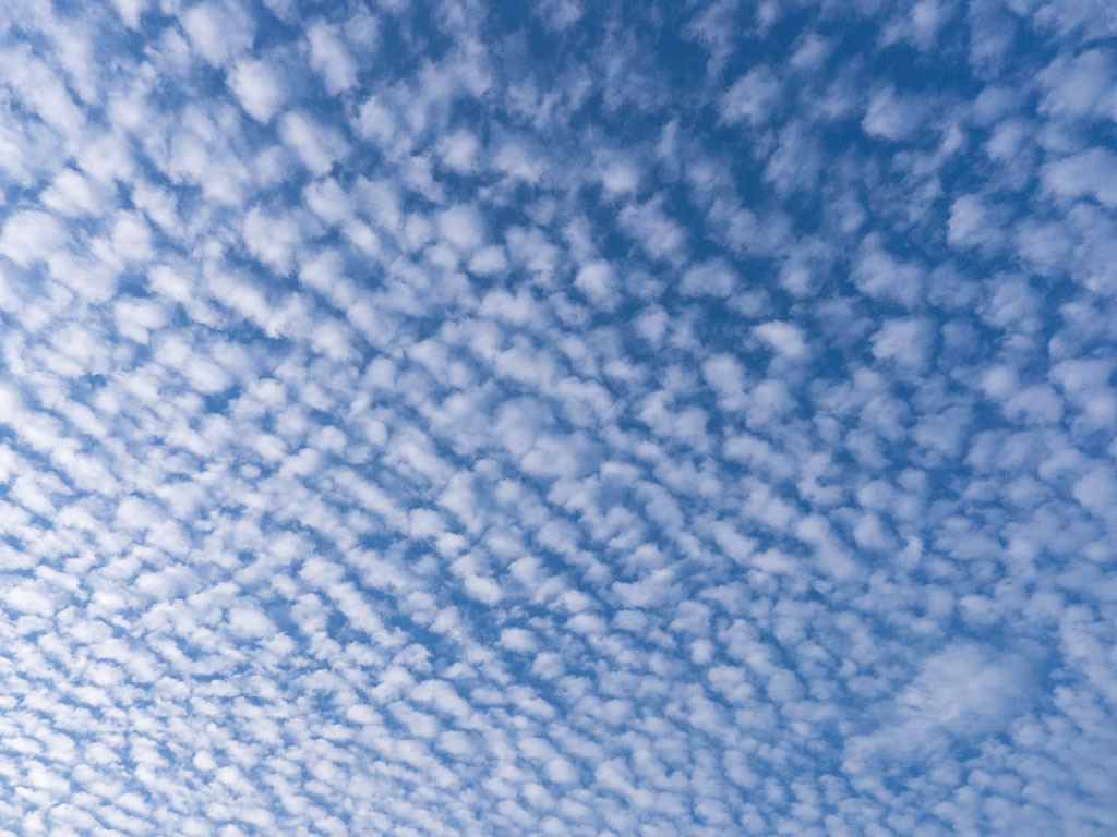 ͼ8 ������.jpg