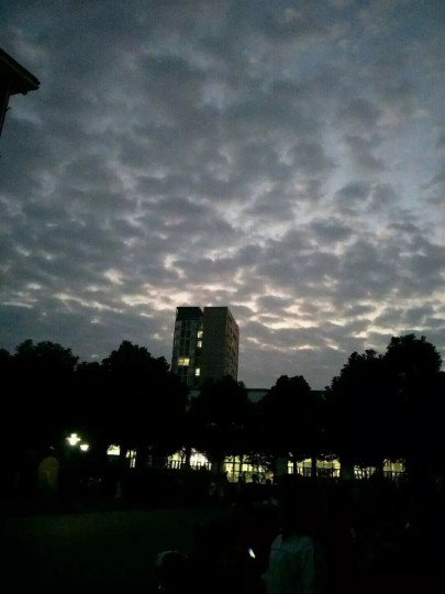 ͼƬ1 ͸��߻���.jpg