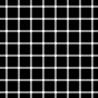 320px-Grid_illusion.png